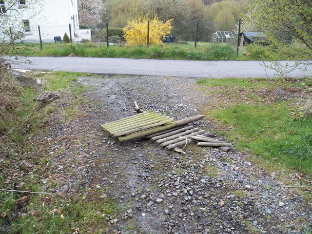 Nur wenige Meter weiter auf dem Waldweg!