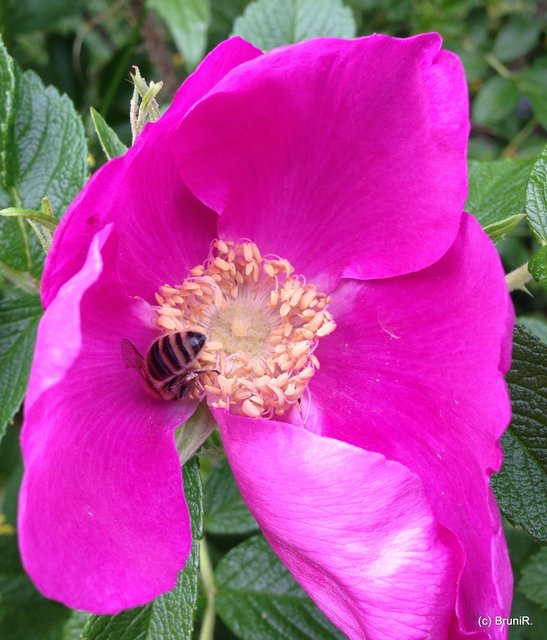 Verstecken ist nicht!!! *kicher*