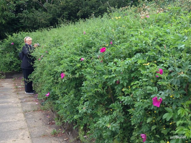 Hier etwas deutlicher zu sehen... :D