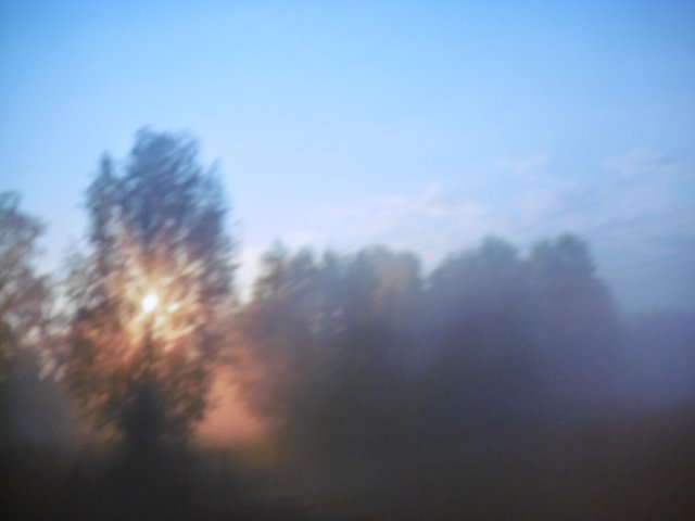 eines der gezeigten Bilder auf der Leinwand ...ein tag erwacht...