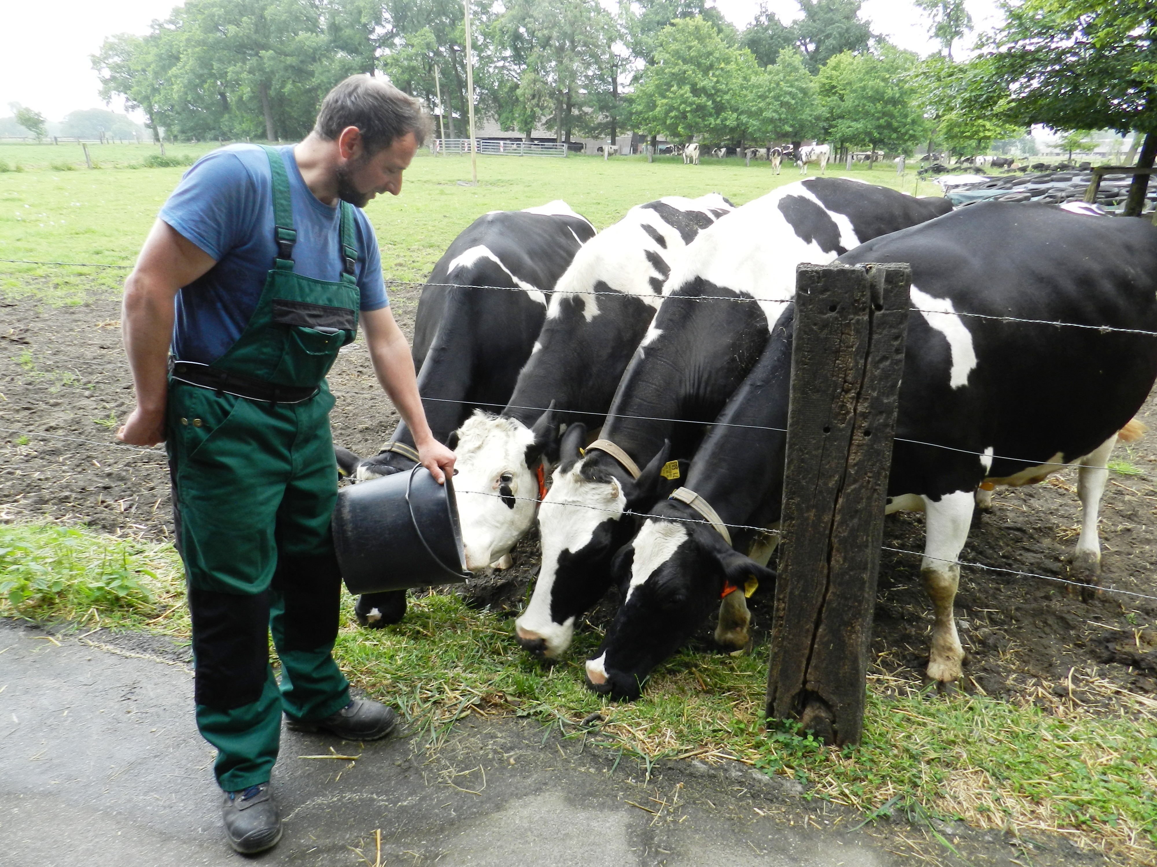 Bauer Michael Bittner mit den "Gülleproduzenten". Dank des Austausches mit der Nachbarschaft gibt's hier keine dicke Luft. Foto: Petra Pospiech