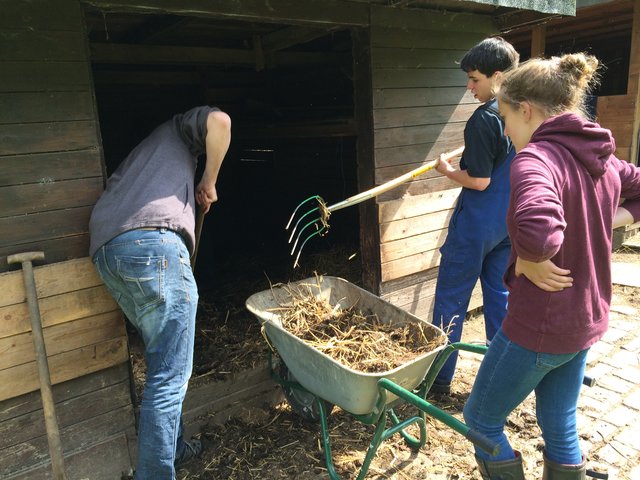 Gemeinsam anpacken: Mit vielen Helfern konnten die Stallungen auf Vordermann gebracht werden.