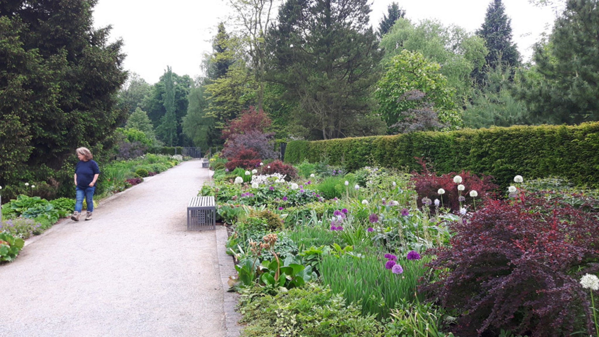Botanischer Garten Dortmund Beetfest der Staudenfreunde im Botanischen Garten Rombergpark
