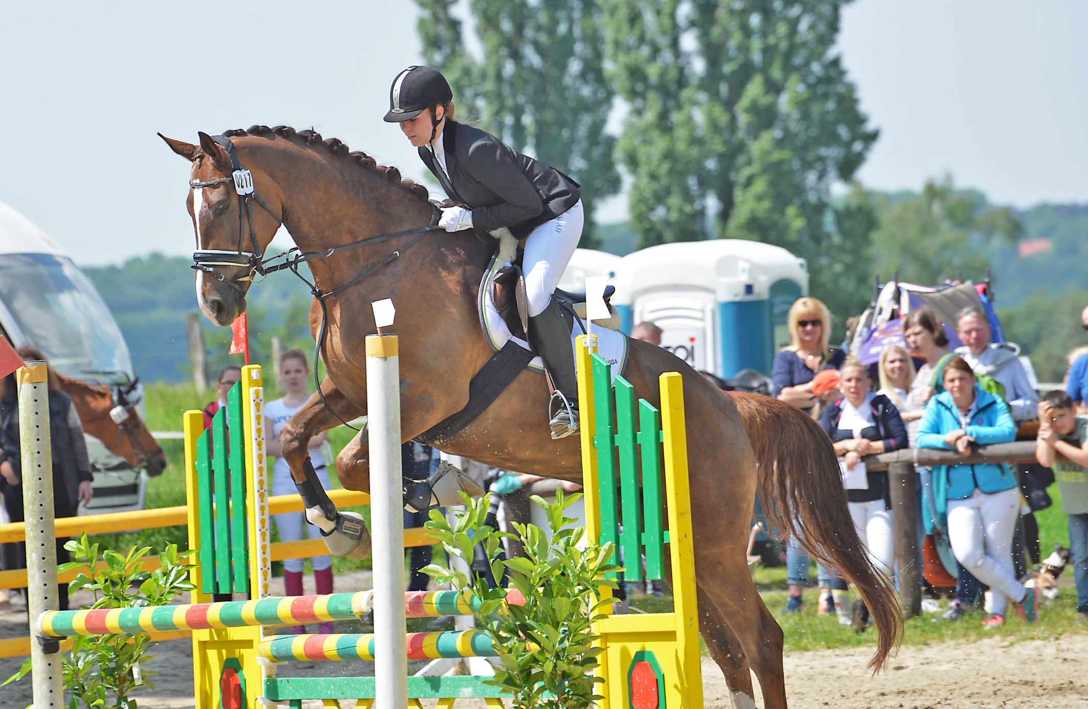 Reitsport vom Feinsten gab es auf dem Maashof zu sehen.