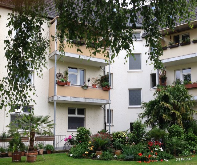 Auf diese schönen Pflanzen und Palmen schaut Marlies... sieht echt toll aus!!!