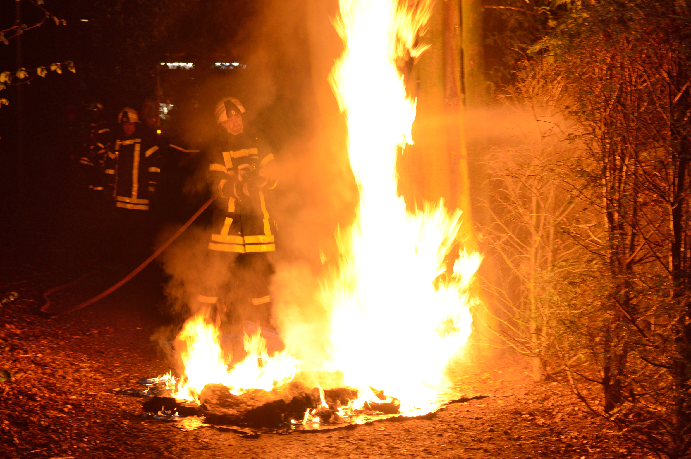 Brandstiftunf: Papiertonnen standen in Flamen. Foto: Archiv
