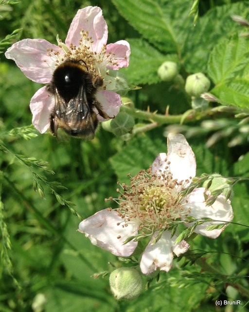 Dafür ist das aber gelungen! *freu*