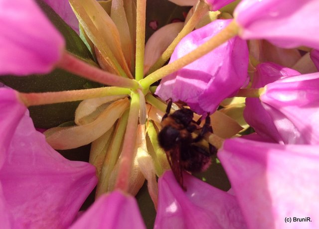 Wer hat sich denn da versteckt???