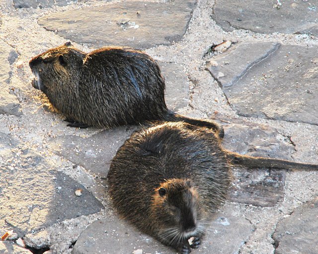 Moritz und Begleitung unter der Brücke.