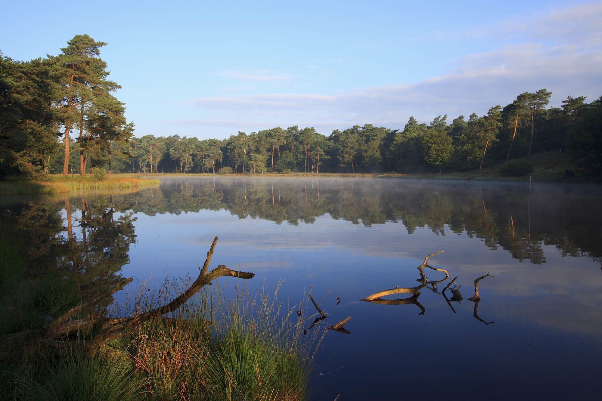 Der Heideweiher Schwarzes Wasser im Diersfordter Wald zählt zum Zielgebiet des Projektes "Bodensaure Eichenwälder mit Mooren und Heiden".