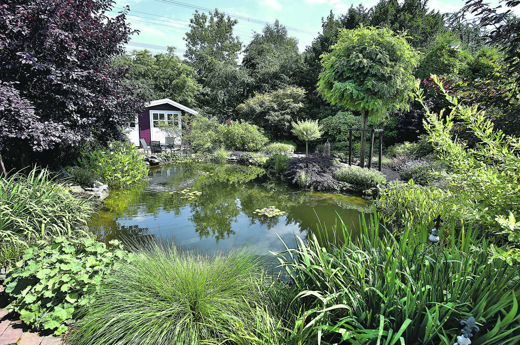 Ein besonders gelungener Gartenteich.