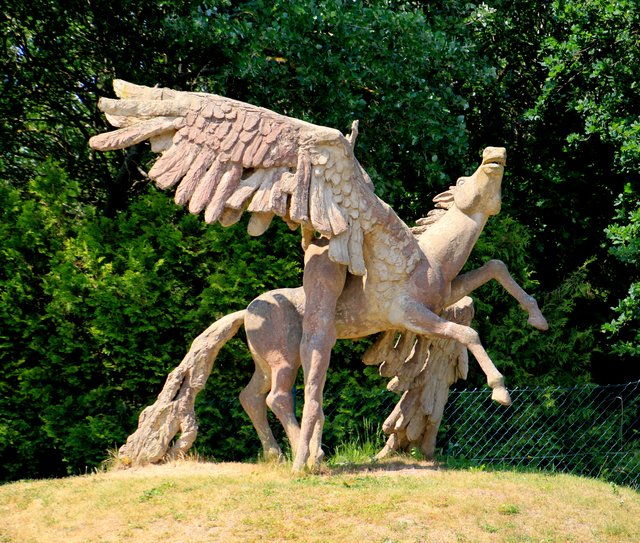 Pegasus hat ne Zwischenlandung in Ahrenshoop gemacht.