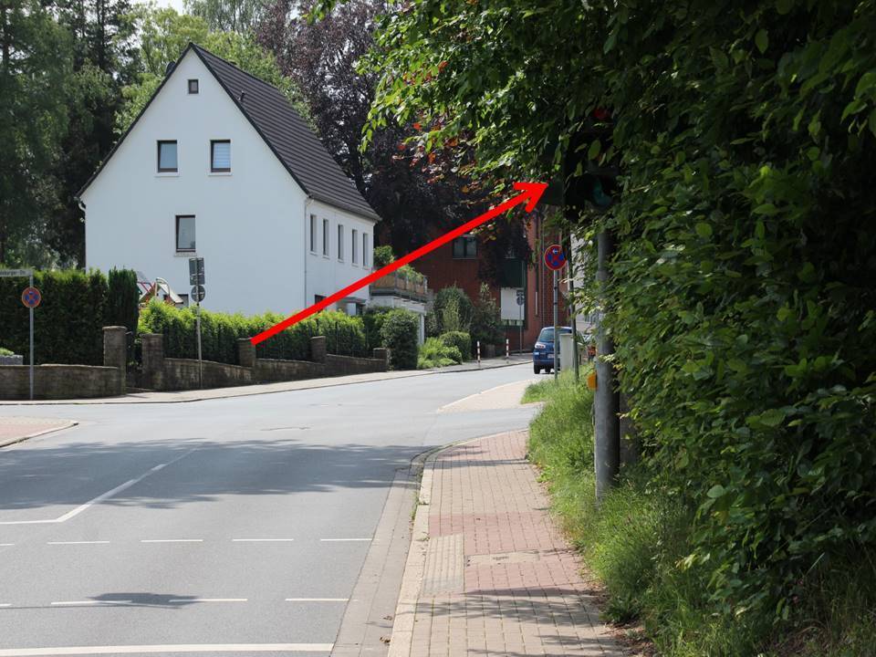 So zugewachsen war die Ampel vorher