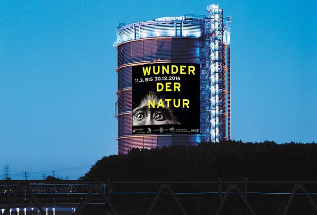 Die laufende Ausstellung im Gasometer "Wunder der Natur" ist eine der erfolgreichsten. Zur "Extraschicht" ist der ehemalige Gasspeicher bis Mitternacht geöffnet.Foto: Thomas Wolf