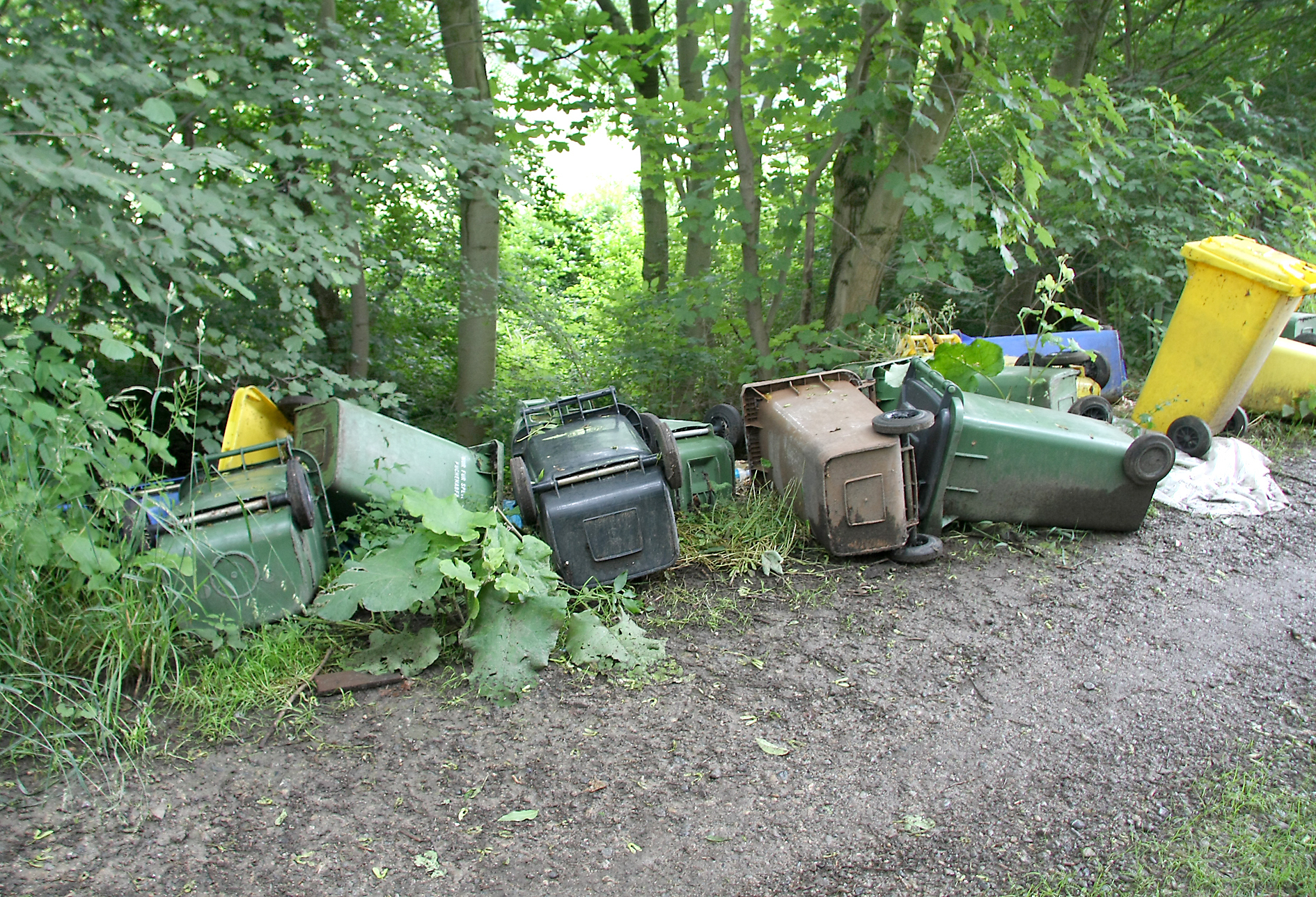 Eine "Riesen-Schweinerei" ist laut EUV die illegale Entsorgung verdorbener und faulender Lebensmittel an der A42. Die Beseitigung kostet einen fünfstelligen Betrag. Foto: Thiele