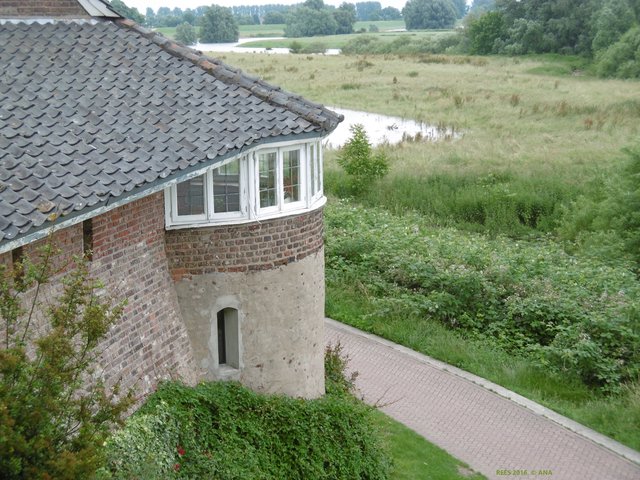 ...am Rhein ist es  immer schön!