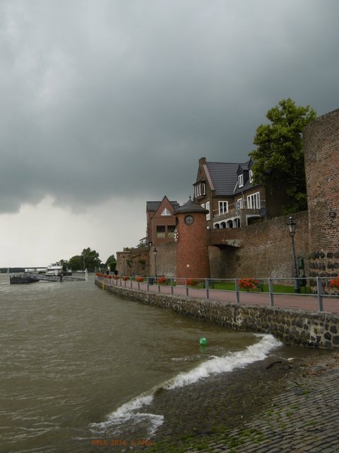 trotz Hochwasser und bedrohlich wirkender Wolken gefällt hier die Stimmung ...