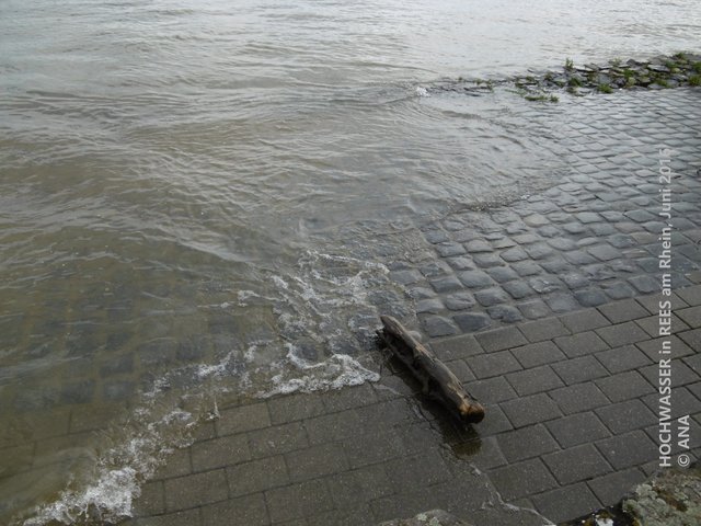 ...der Rhein kommt näher ...