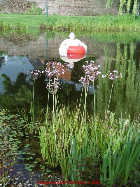 ...und dann kam wieder die SONNE raus´und MANN wagte sich in Badebekleidung auf den See!