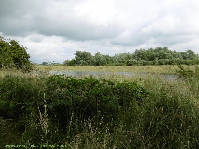 ...viel Wasser, auch da, wo es eigentlich NICHt hin gehört ...