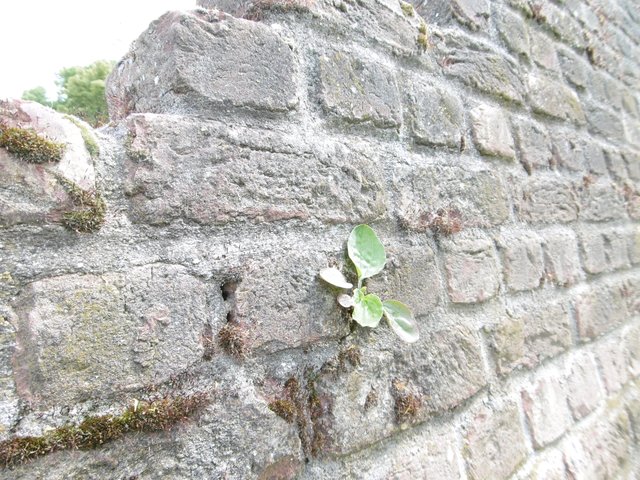 ...immer an der MAUER entlang ...