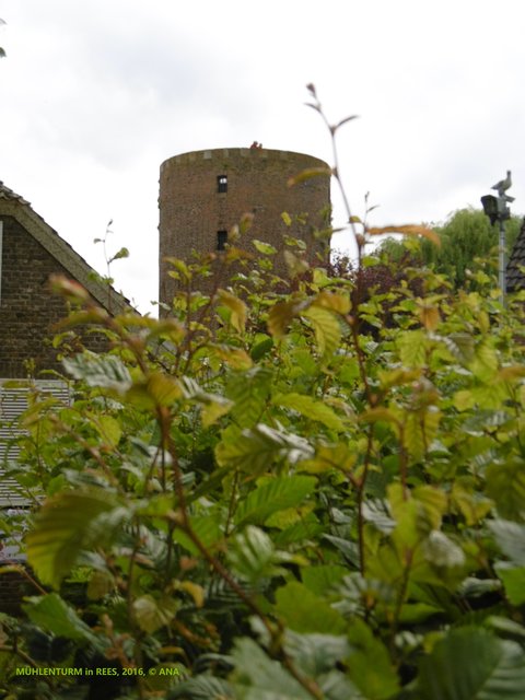 ...ah, da, der Mühlenturm! Ob wir es vor dem Regen schaffen, da mal´rauf...