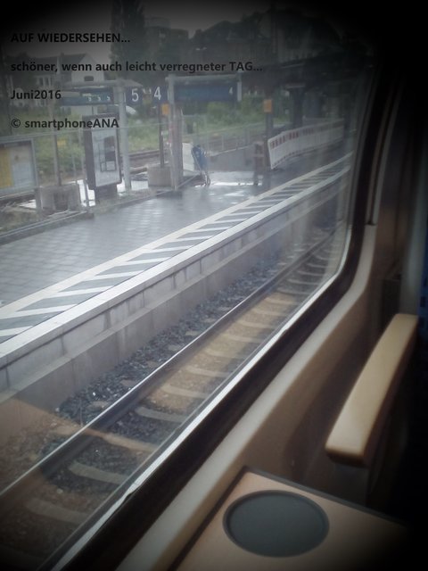 ...sooo, ich sitze im Zug nach Hause ... so schnell geht ein schöner Tag rum´! (Handyfoto)