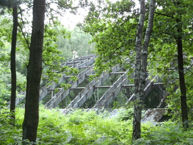 Alter Flugzeughanger in der Heronger Heide.