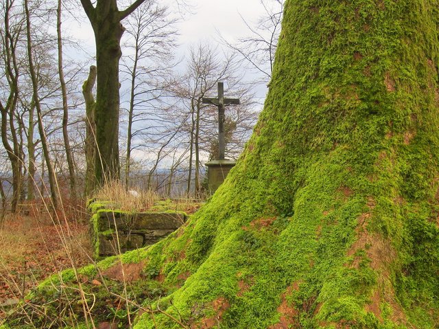 Im Wald hoch über Bad Driburg befand sich einst eine kleine Kirche. Heute finden sich hier nur noch Reste der Grundmauern zwischen alten bemoosten Bäumen.