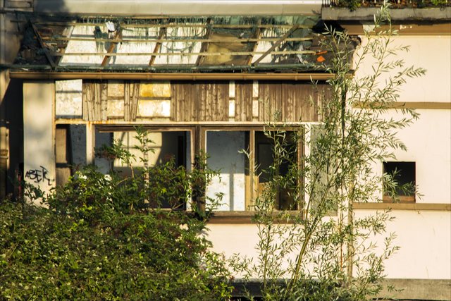 Der Verfall überlassen in Duisburg-Ruhrort.