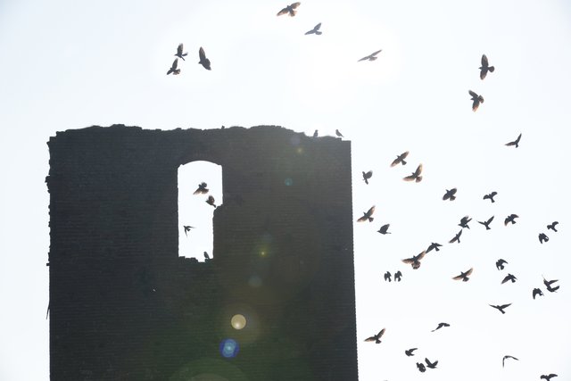 Turmruine bei Aengenesch