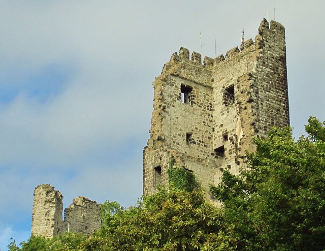 Burgruine (Drachenfels)