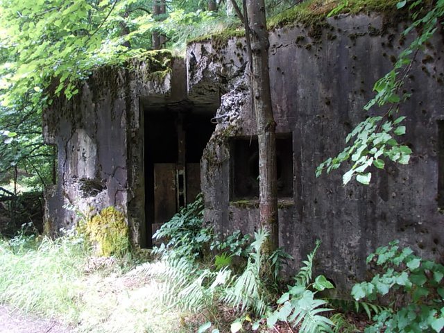 Alter verlassener Bunker... oder sowas... mitten im Wald!