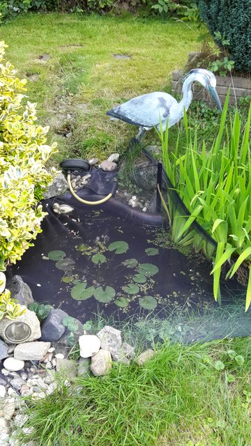 Nicht mehr verloren. Sondern GEFUNDEN!