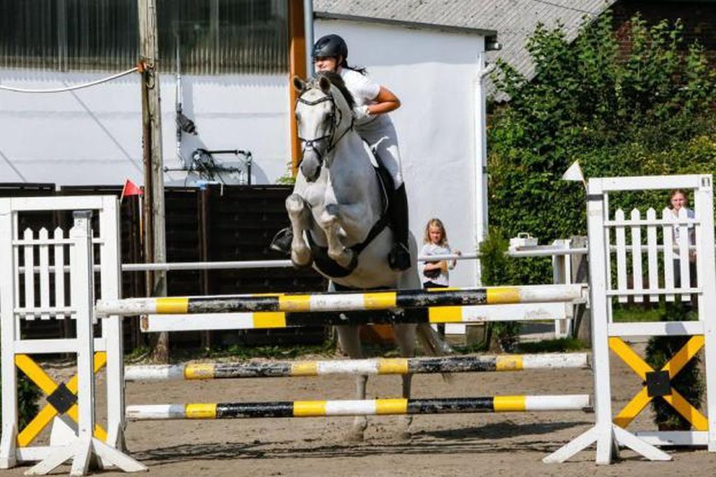 Toller Sport beim Reitturnier des RV Dortmund-Nordost in Grevel.