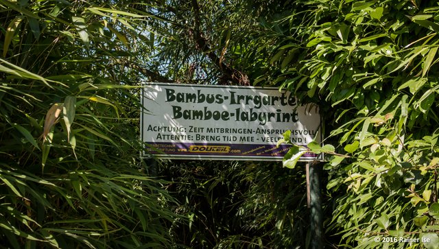 Bambus-Irrgarten