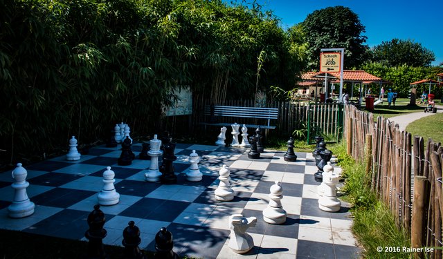 Schach (ganz im Sinne des Autors)