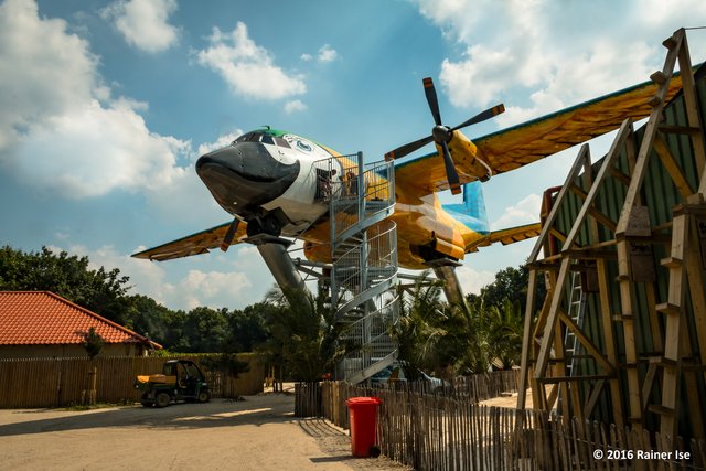 Transall "Paradiesvogel"