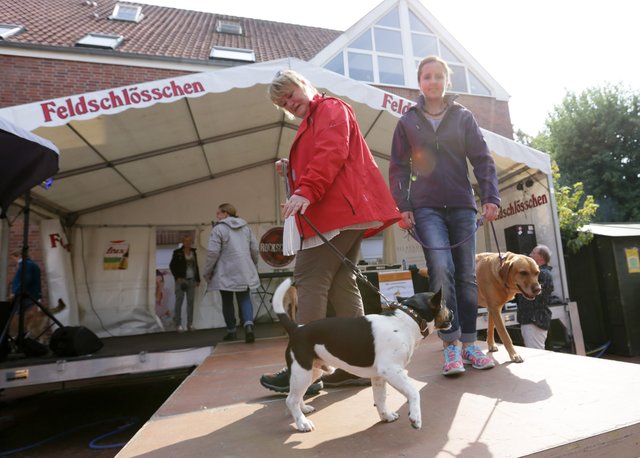 Foto: Heike Cervellera