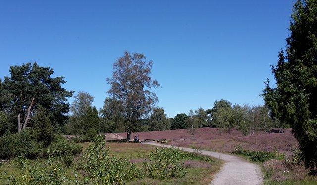 Halterner See und Westruper Heide EssenKettwig