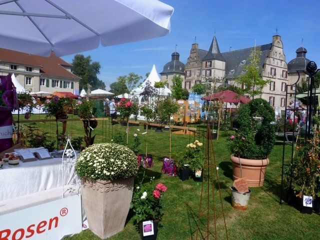 Gartenflair im Schlosspark Dortmund Bodelschwingh - Dortmund-West