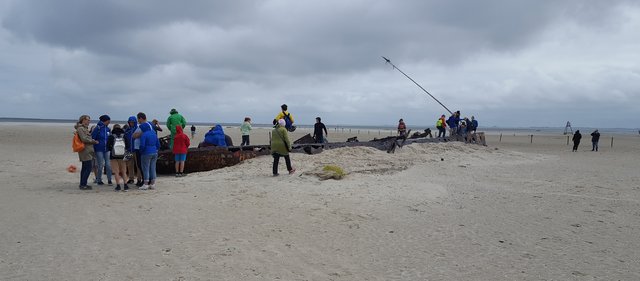 Wattwanderung bis zu einer Sandbank nahe Baltrum – ein altes Bootswrack war das Ziel. Foto: PR