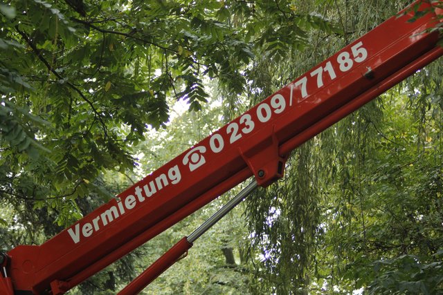 Vielen Dank an die Firma Hundrup GmbH für die unkomplizierte und kostenfreie Unterstützung bei dieser Bienenrettung. | Foto: Kathy Mauritz