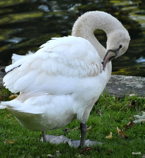 Alles von der Mama gelernt...