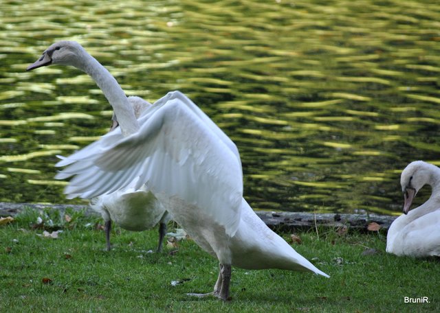 Toll macht er das!!!