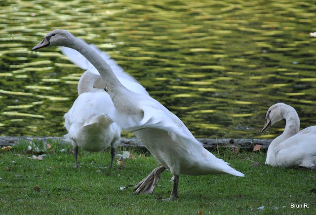 Übungen zum Fliegen, oder was?!?