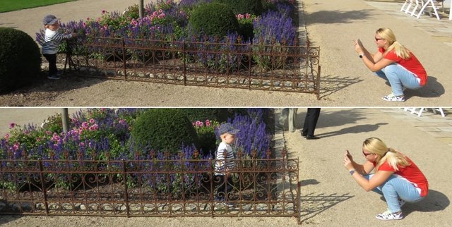 Ach ist das herrlich, immer um das Gitter herum zu sausen!