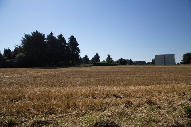 Landschaftserhalt statt Asphalt - unter diesem Motto macht sich die Bürgerinitiative für den Erhalt des Werner Feldes stark. Foto: privat