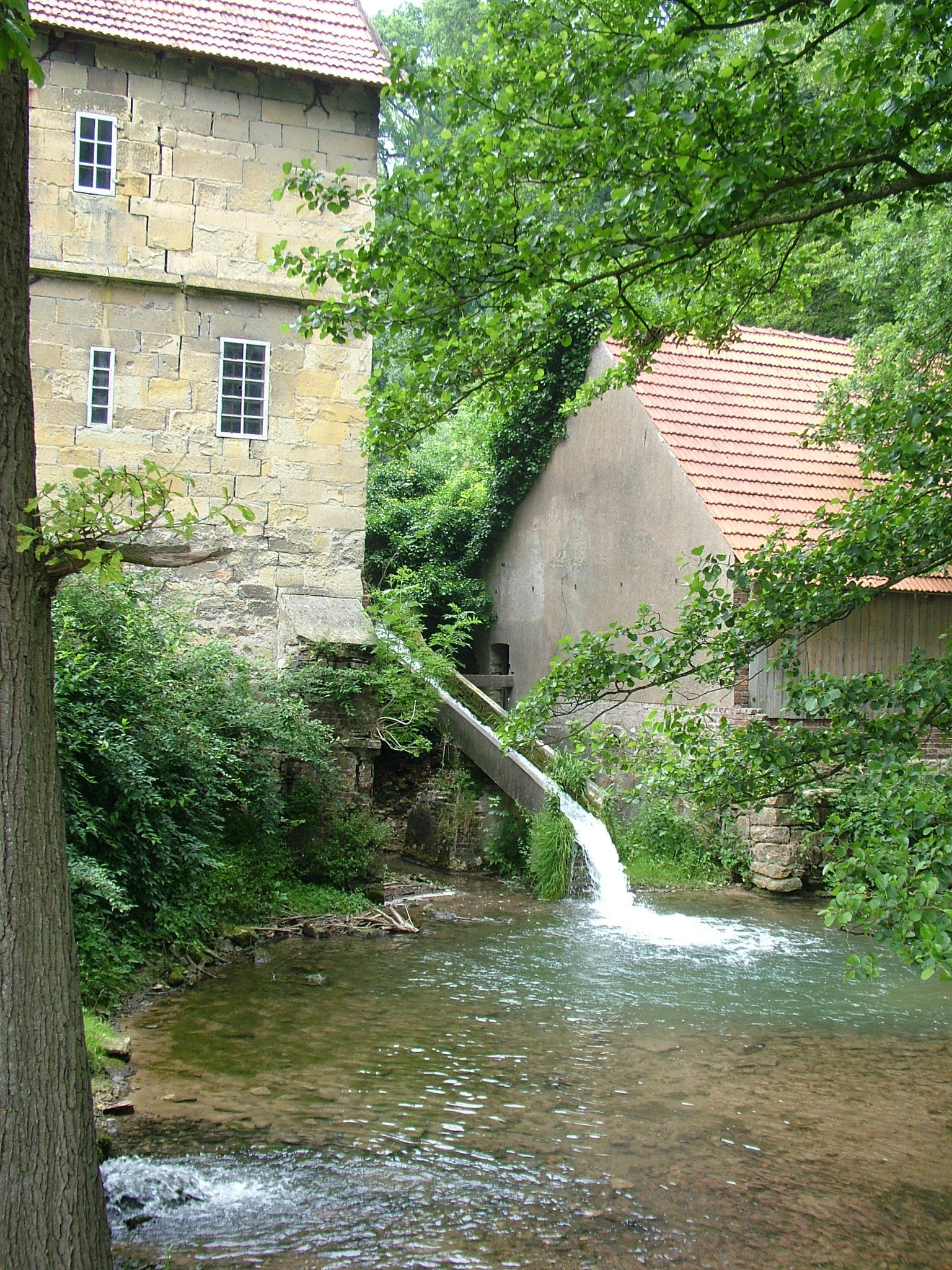 Schönste Plätze an der Stever gesucht Haltern