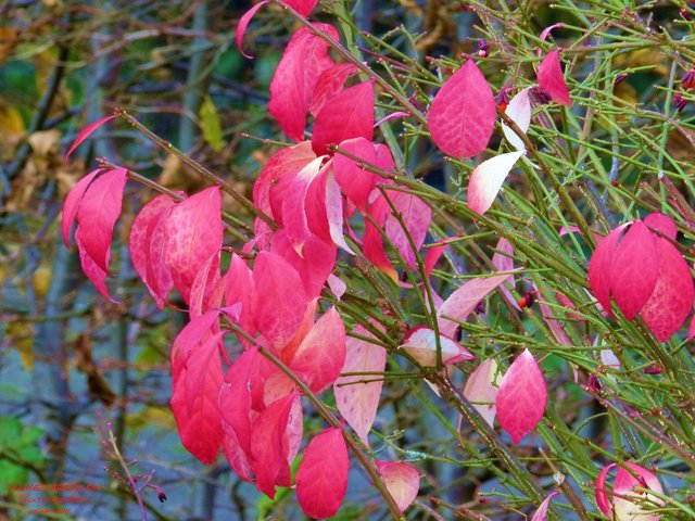 Foto: Rainer Bresslein